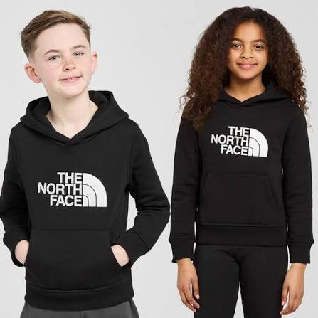 Kids The North Face drew peak hoodie